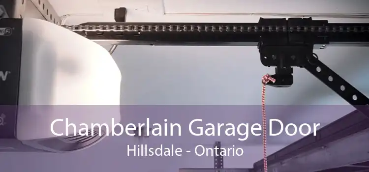 Chamberlain Garage Door Hillsdale - Ontario
