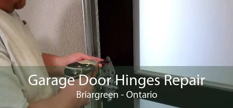 Garage Door Hinges Repair Briargreen - Ontario