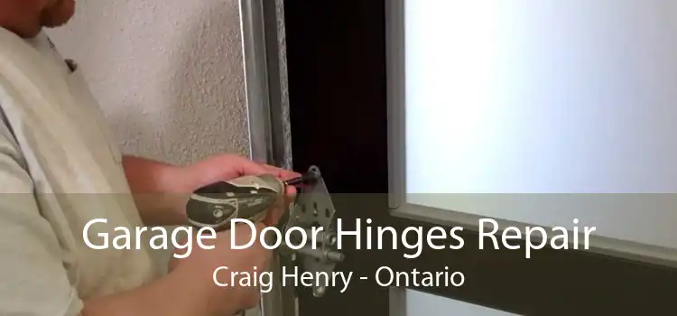 Garage Door Hinges Repair Craig Henry - Ontario