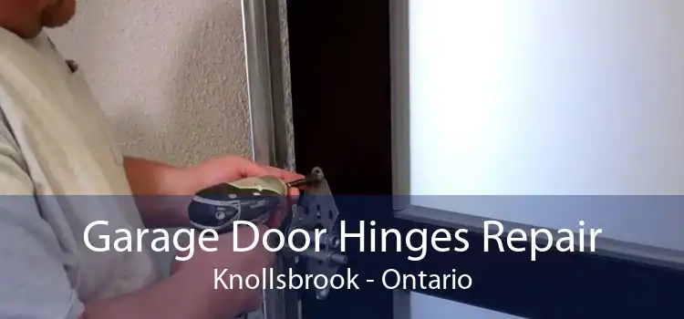 Garage Door Hinges Repair Knollsbrook - Ontario