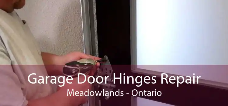 Garage Door Hinges Repair Meadowlands - Ontario
