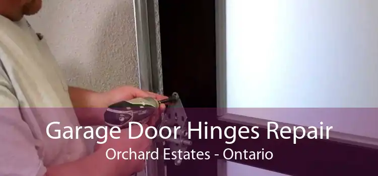 Garage Door Hinges Repair Orchard Estates - Ontario