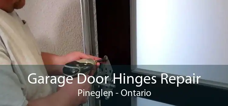 Garage Door Hinges Repair Pineglen - Ontario