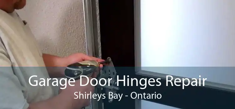 Garage Door Hinges Repair Shirleys Bay - Ontario