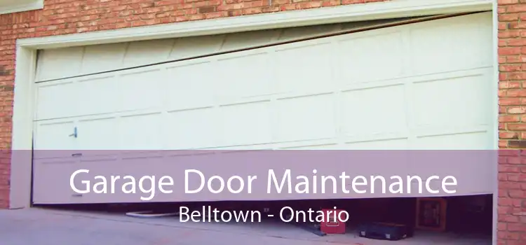 Garage Door Maintenance Belltown - Ontario