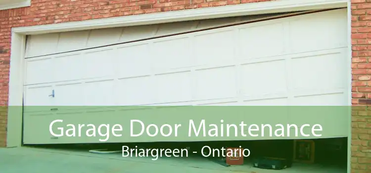 Garage Door Maintenance Briargreen - Ontario