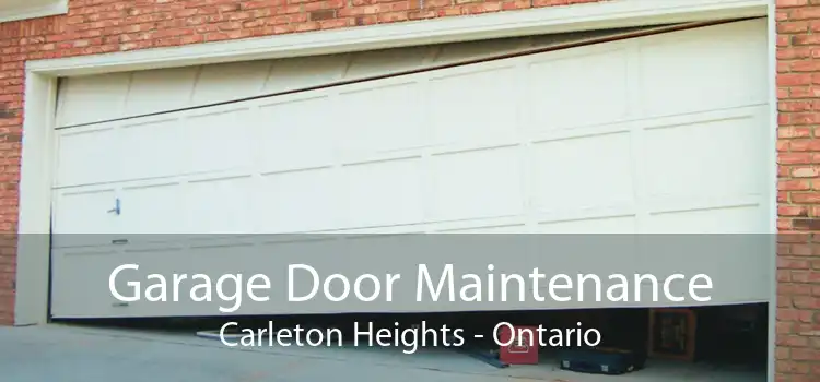 Garage Door Maintenance Carleton Heights - Ontario