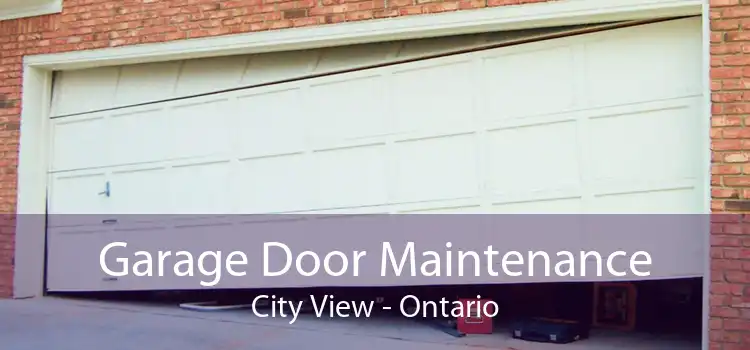 Garage Door Maintenance City View - Ontario