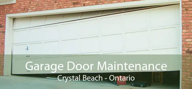Garage Door Maintenance Crystal Beach - Ontario