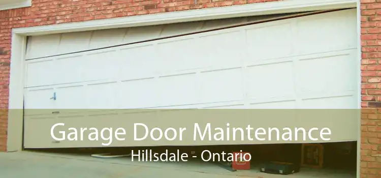Garage Door Maintenance Hillsdale - Ontario