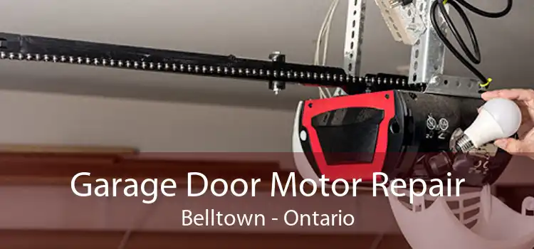 Garage Door Motor Repair Belltown - Ontario