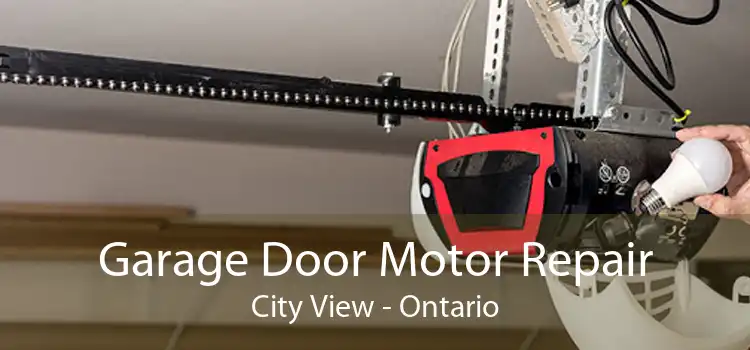 Garage Door Motor Repair City View - Ontario