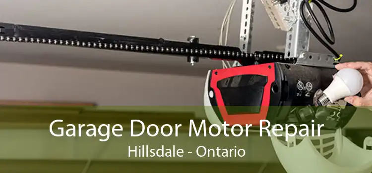 Garage Door Motor Repair Hillsdale - Ontario