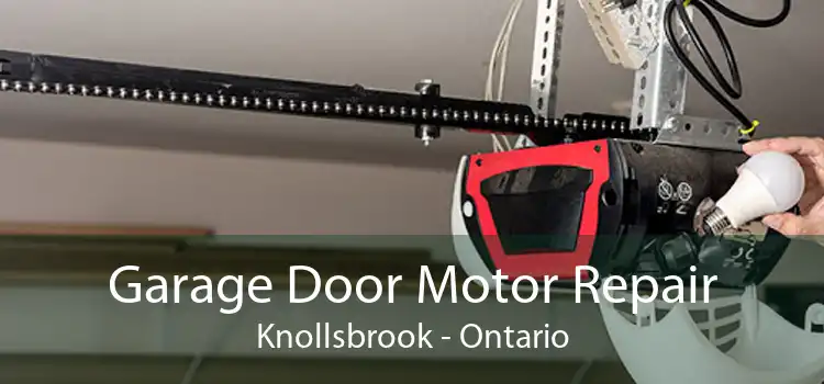 Garage Door Motor Repair Knollsbrook - Ontario