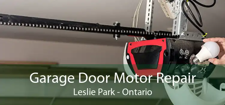 Garage Door Motor Repair Leslie Park - Ontario