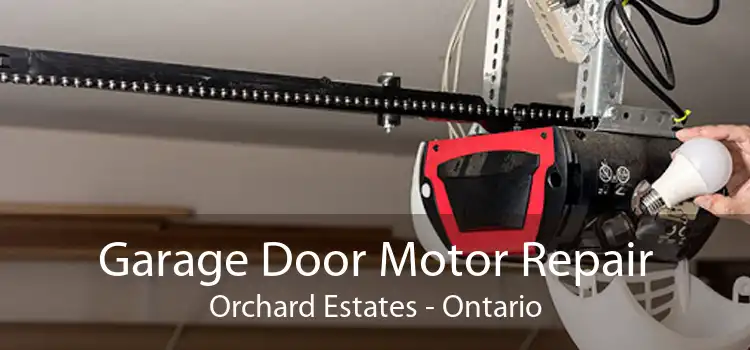 Garage Door Motor Repair Orchard Estates - Ontario