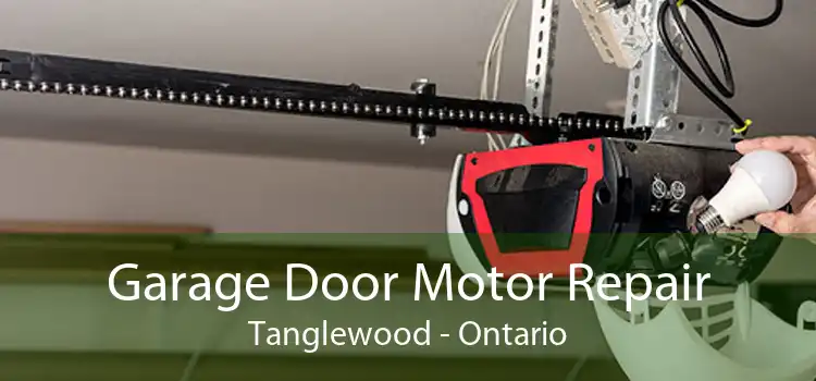 Garage Door Motor Repair Tanglewood - Ontario