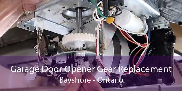 Garage Door Opener Gear Replacement Bayshore - Ontario