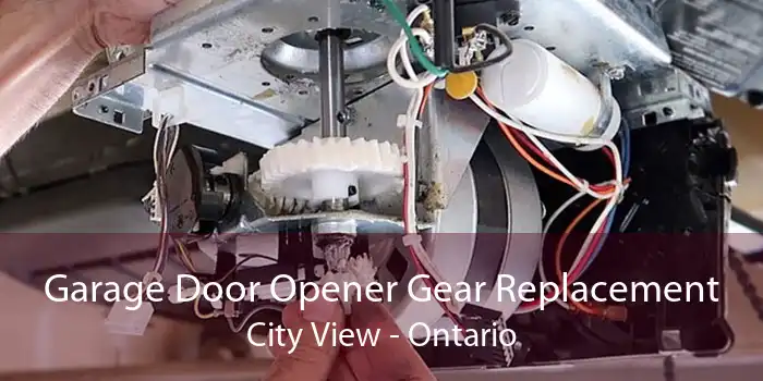 Garage Door Opener Gear Replacement City View - Ontario