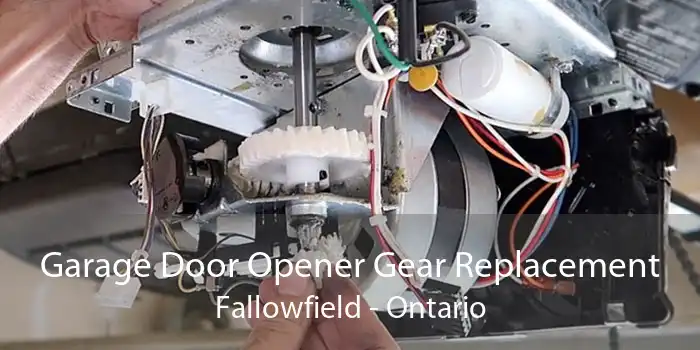 Garage Door Opener Gear Replacement Fallowfield - Ontario