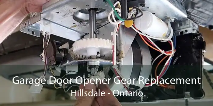 Garage Door Opener Gear Replacement Hillsdale - Ontario
