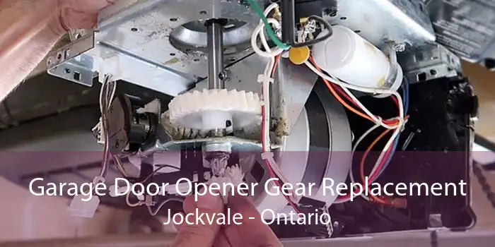 Garage Door Opener Gear Replacement Jockvale - Ontario