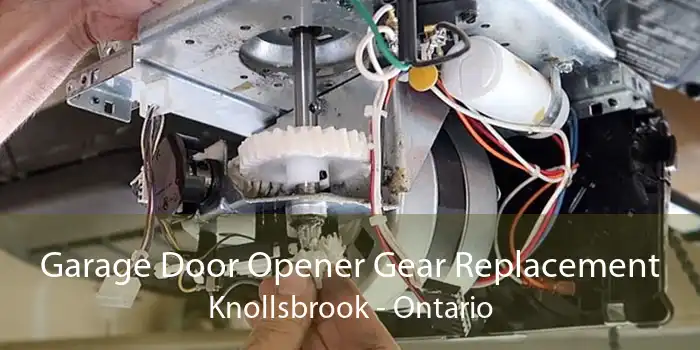 Garage Door Opener Gear Replacement Knollsbrook - Ontario