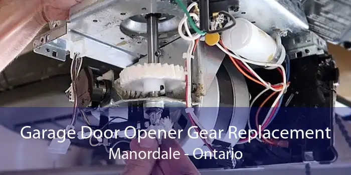 Garage Door Opener Gear Replacement Manordale - Ontario