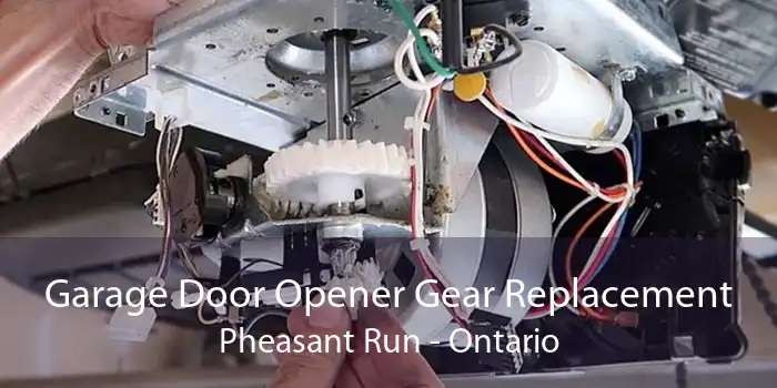 Garage Door Opener Gear Replacement Pheasant Run - Ontario
