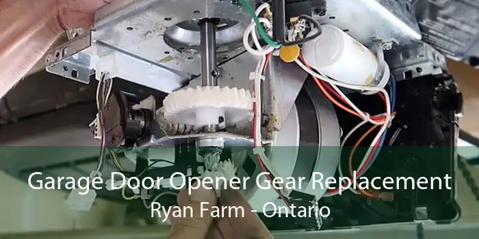 Garage Door Opener Gear Replacement Ryan Farm - Ontario