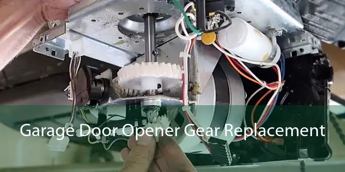 Garage Door Opener Gear Replacement