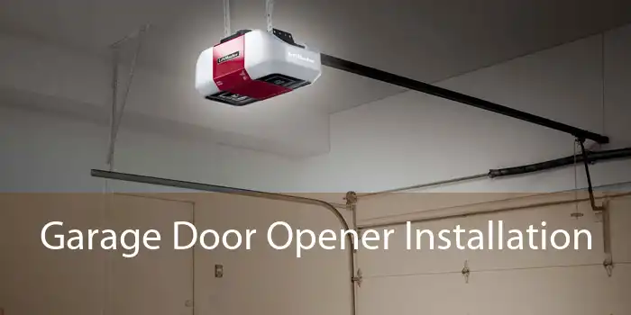 Garage Door Opener Installation