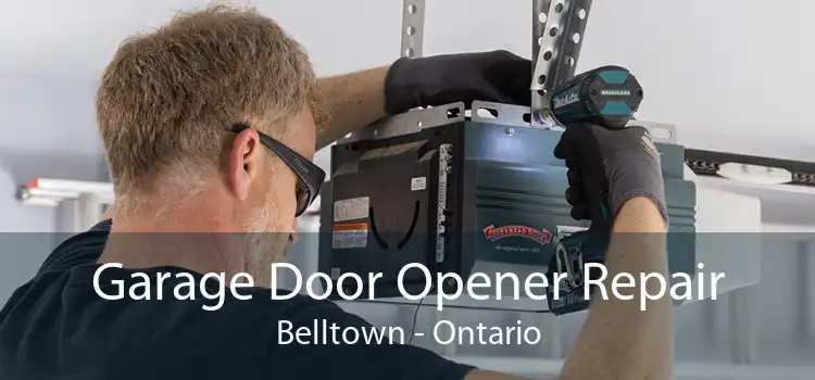 Garage Door Opener Repair Belltown - Ontario