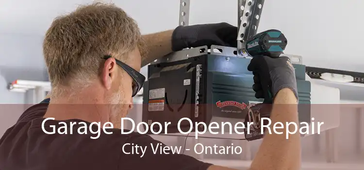 Garage Door Opener Repair City View - Ontario