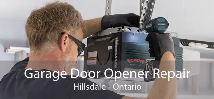 Garage Door Opener Repair Hillsdale - Ontario