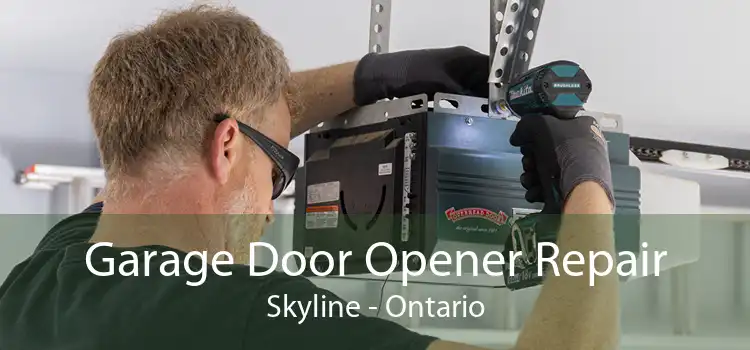 Garage Door Opener Repair Skyline - Ontario