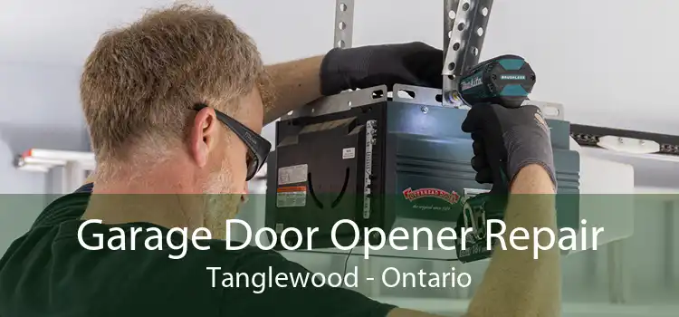 Garage Door Opener Repair Tanglewood - Ontario