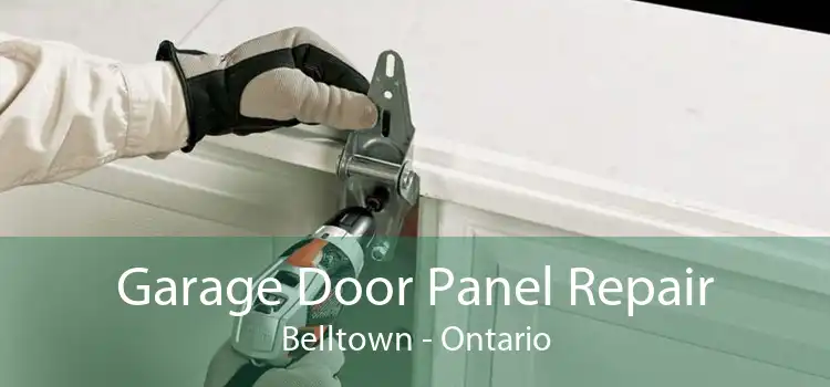 Garage Door Panel Repair Belltown - Ontario