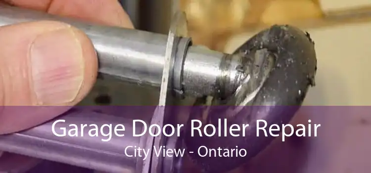 Garage Door Roller Repair City View - Ontario