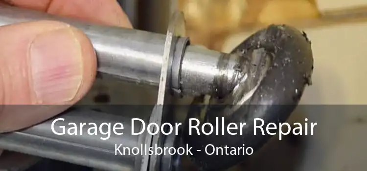 Garage Door Roller Repair Knollsbrook - Ontario