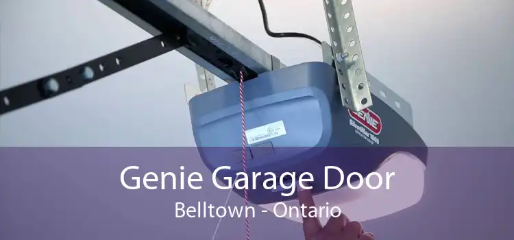 Genie Garage Door Belltown - Ontario