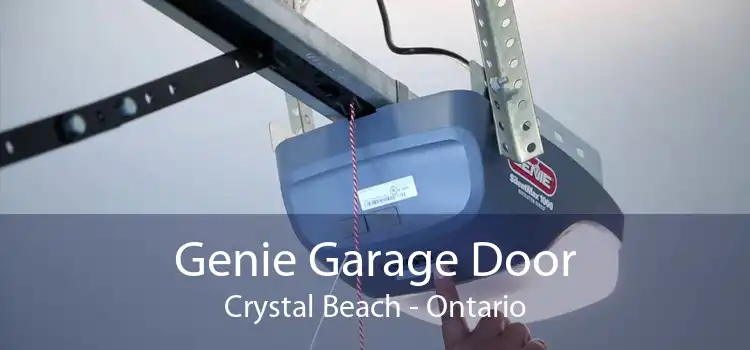 Genie Garage Door Crystal Beach - Ontario