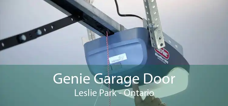 Genie Garage Door Leslie Park - Ontario