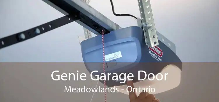 Genie Garage Door Meadowlands - Ontario