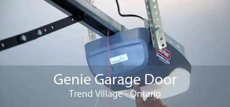 Genie Garage Door Trend Village - Ontario
