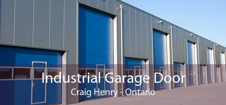 Industrial Garage Door Craig Henry - Ontario