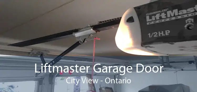 Liftmaster Garage Door City View - Ontario