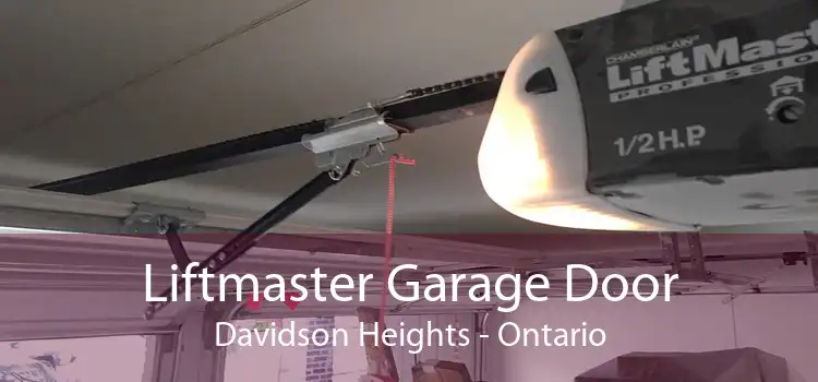 Liftmaster Garage Door Davidson Heights - Ontario