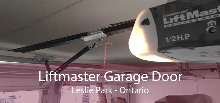 Liftmaster Garage Door Leslie Park - Ontario