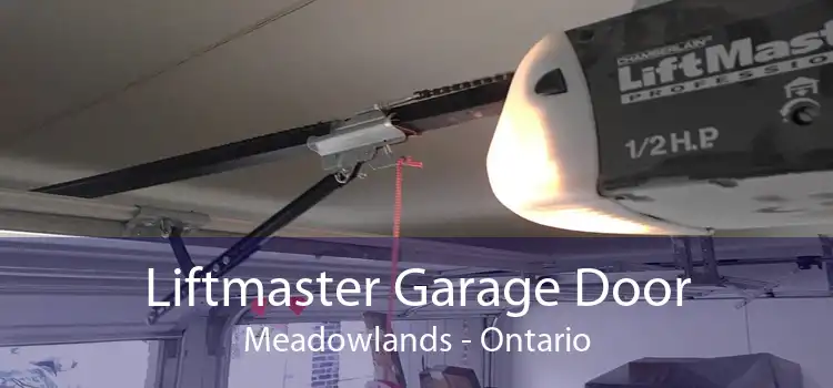 Liftmaster Garage Door Meadowlands - Ontario